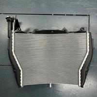 Bmw s1000 rr radiatore