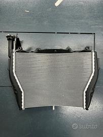 Bmw s1000 rr radiatore