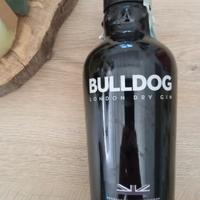 Bottiglia vuota gin bulldog 