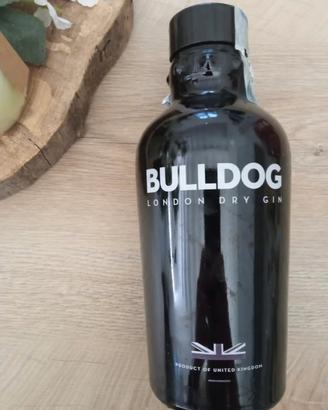 Bottiglia vuota gin bulldog 