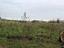 Immagine 24