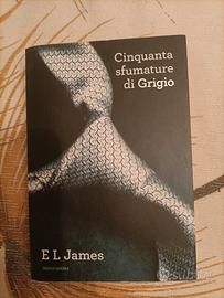 cinquanta sfumature di grigio 