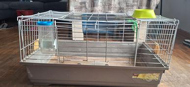 gabbia per conigli 
