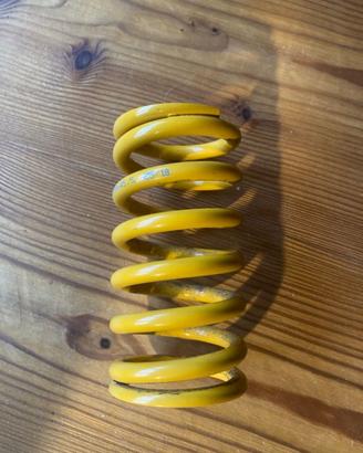 Molla Ohlins Trial 50-60kg