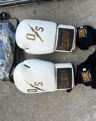 guantoni boxe