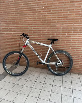 Scott scale 80