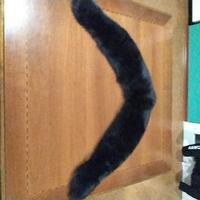 collo di pelliccia di Volpe nera 