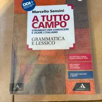 Libro a tutto campo di grammatica