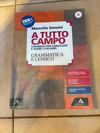 Libro a tutto campo di grammatica