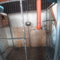 Voliera artigianale per grandi pappagalli