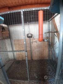 Voliera artigianale per grandi pappagalli