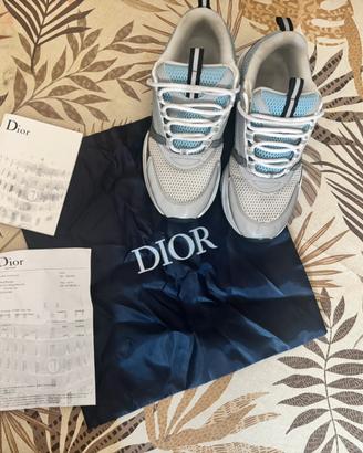 Dior b22