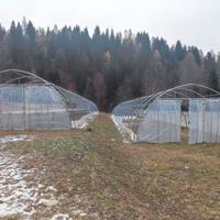 Serre mobili a tunnel