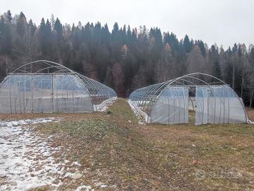 Serre mobili a tunnel