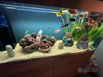 roccia lavica naturale mai usata per acquari