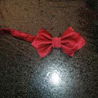 Papillon colore rosso