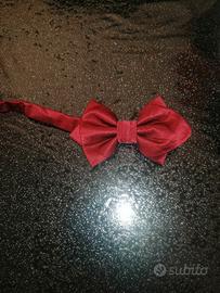 Papillon colore rosso