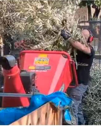 Smaltimento Potature