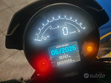Triumph Trident 660 anno 2021 km 5556
