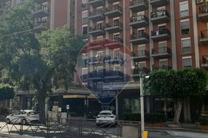 Appartamento - Palermo