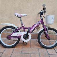 bicicletta papillon 