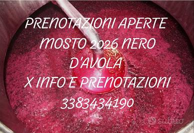 Uva nero d'Avola e mosto 
