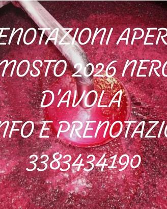Uva nero d'Avola e mosto 