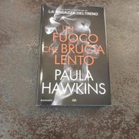 Un fuoco che brucia dentro di Paula Hawkins