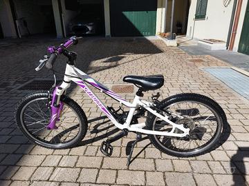 bici MTB specialized bambina