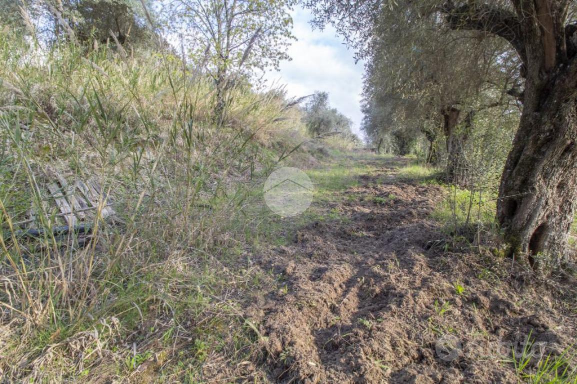 TER. AGRICOLO A PALOMBARA SABINA - Vista 5