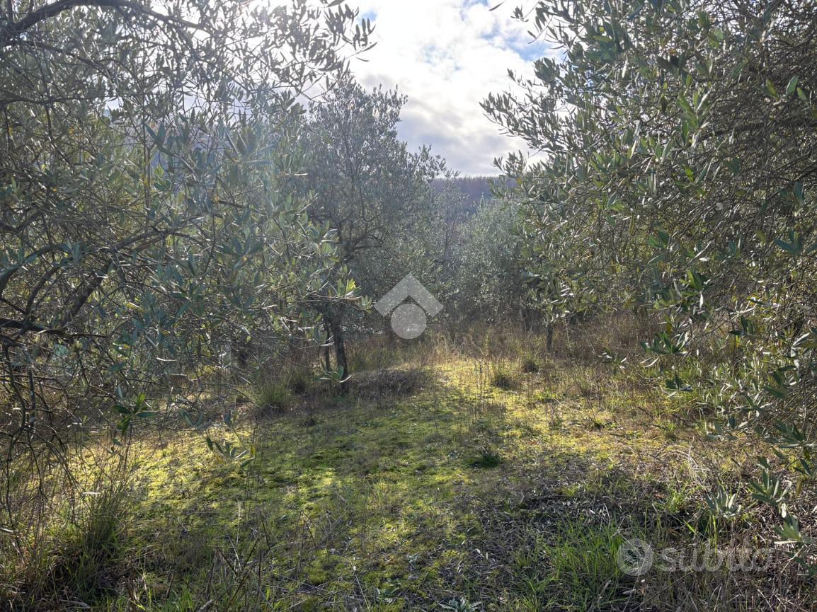 TER. AGRICOLO A SCANDICCI - Vista 3