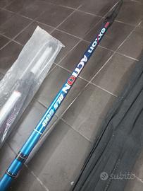 Canna bolognese