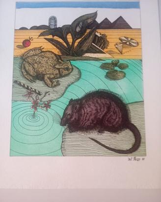 Rari oggetti da collezione