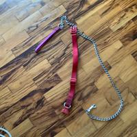 Collare rosso e guinzaglio con catena leggera