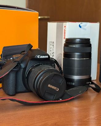 Canon EOS 2000D + Canon 18-50 mm + Canon 55-250