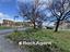 Immagine 15
