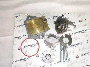 Presa di forza motore lombardini 9LD