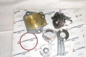 Presa di forza motore lombardini 9LD