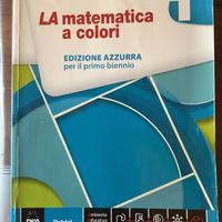 Libro di matematica. Volume 1