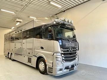 Van Mercedes JK trasporto cavalli con living