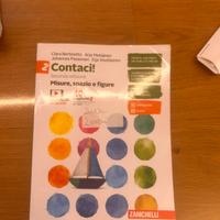 Libro Contaci Zanichelli usato