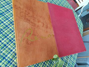 Libro di stampe d'arte