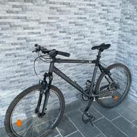 Mountain-bike da uomo
