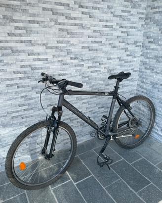 Mountain-bike da uomo