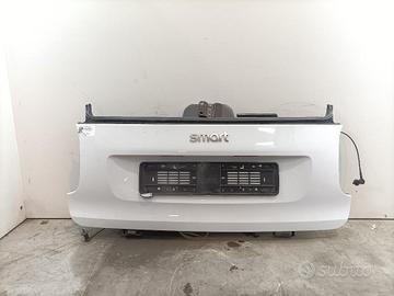 PORTELLONE POSTERIORE RIBALTABILE SMART Fortwo Cou