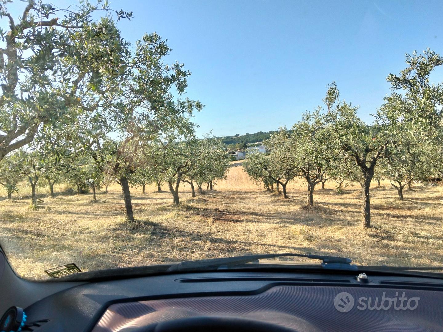 Terreno agricolo i - martina franca - Vista 4