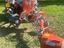 Immagine 1