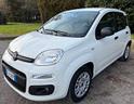 fiat-panda-1-2-easypower-easy-lounge
