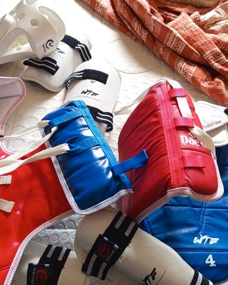 protezioni taekwondo 