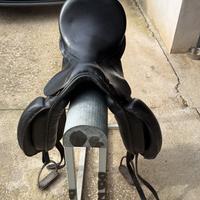 Premium Dressage